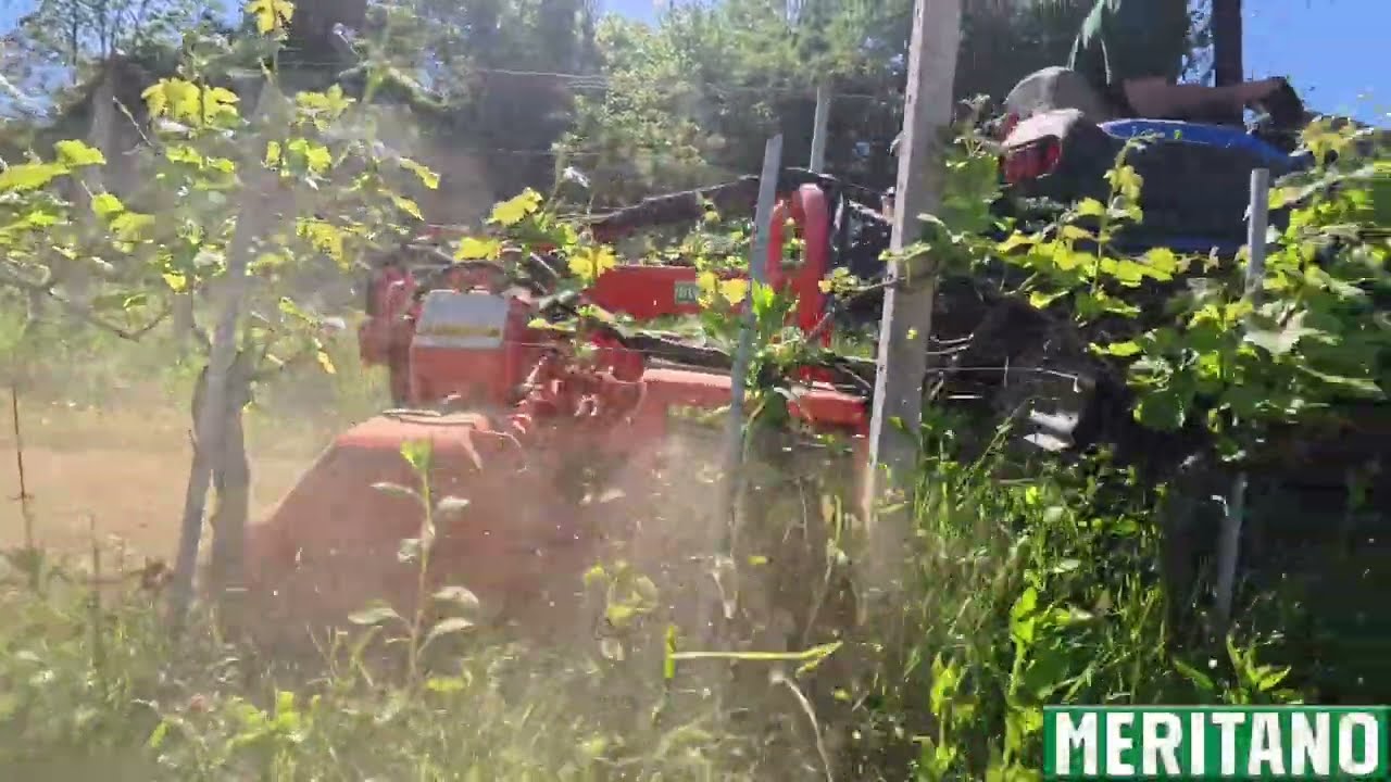 DISERBATRICE MECCANICA PER VIGNETO - MERITANO
