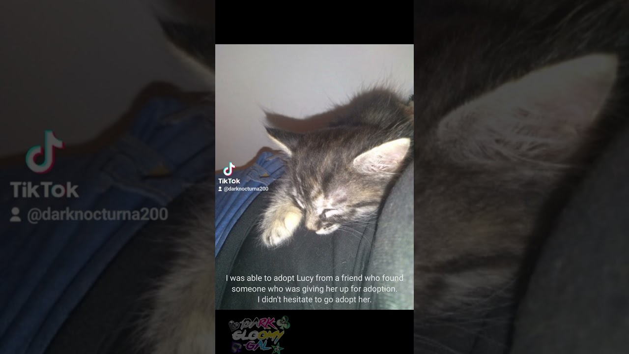 @DharMann Please help me and my cats.