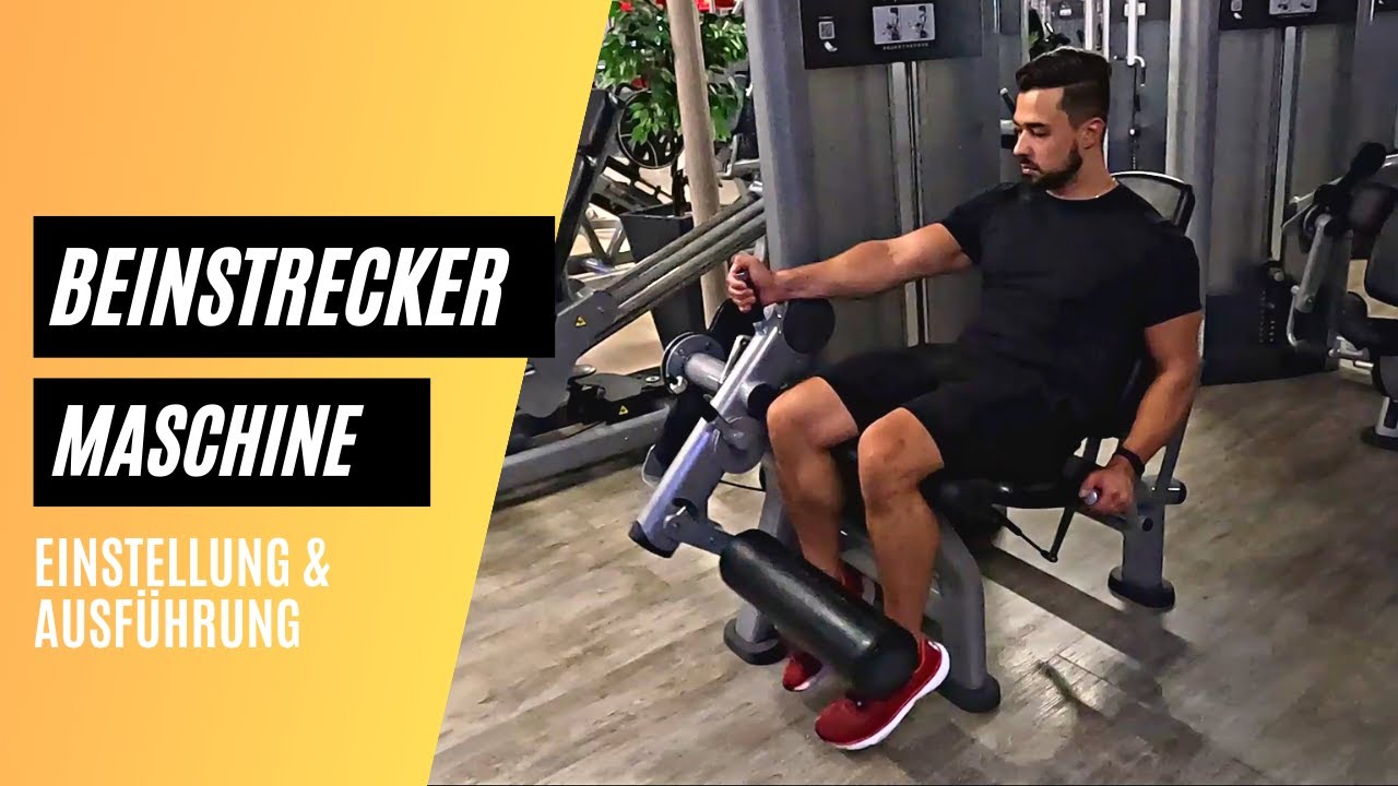 Beinstrecker Maschine  - Einstellen und richtig Ausf&uuml;hrungen