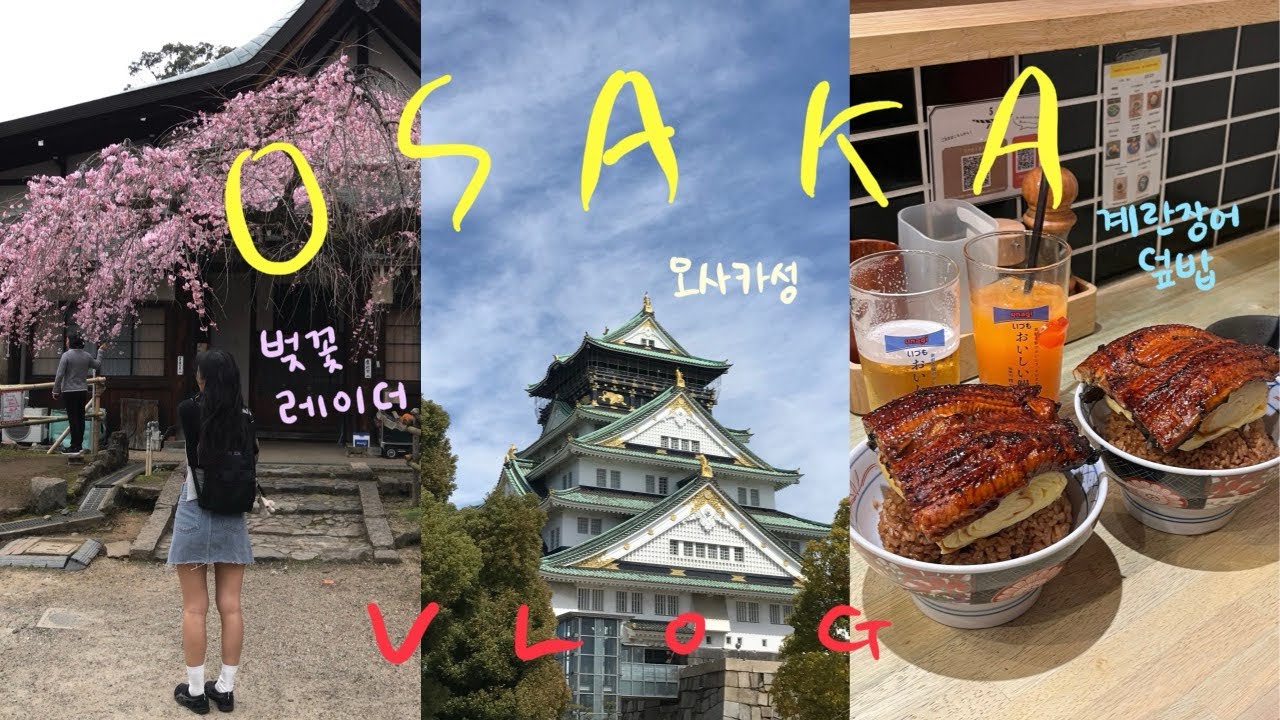 오사카 벚꽃 시즌 여행 브이로그🇯🇵 | 3월 말 벚꽃 개화? | 벚꽃 집착녀가 되,,~🌸 | 교토 당일치기 + 나라 사슴공원 | 오사카 맛집 투어 | 파워J 여행