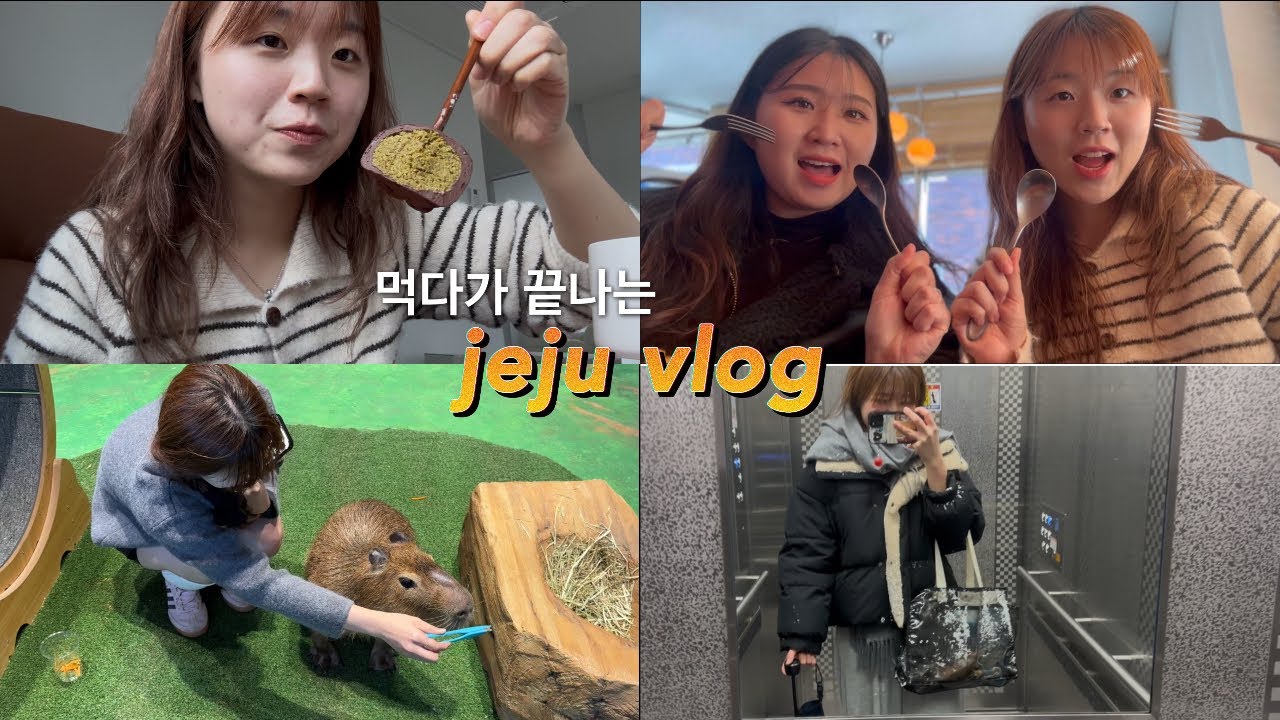 아니 무슨 제주에서 먹기만 해요🍊🍽️ (feat. 제주이주민의 17분동안 먹기만 하는 브이로그 겸 도민 맛집 가득 담은 영상)
