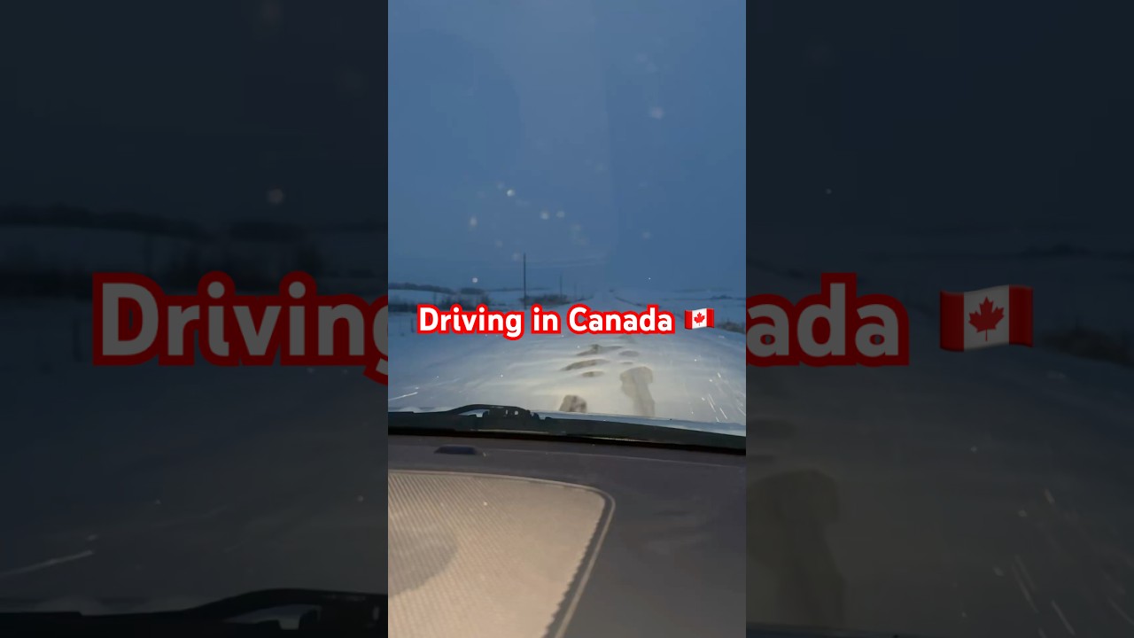 Winter Driving in Canada 🇨🇦😎 