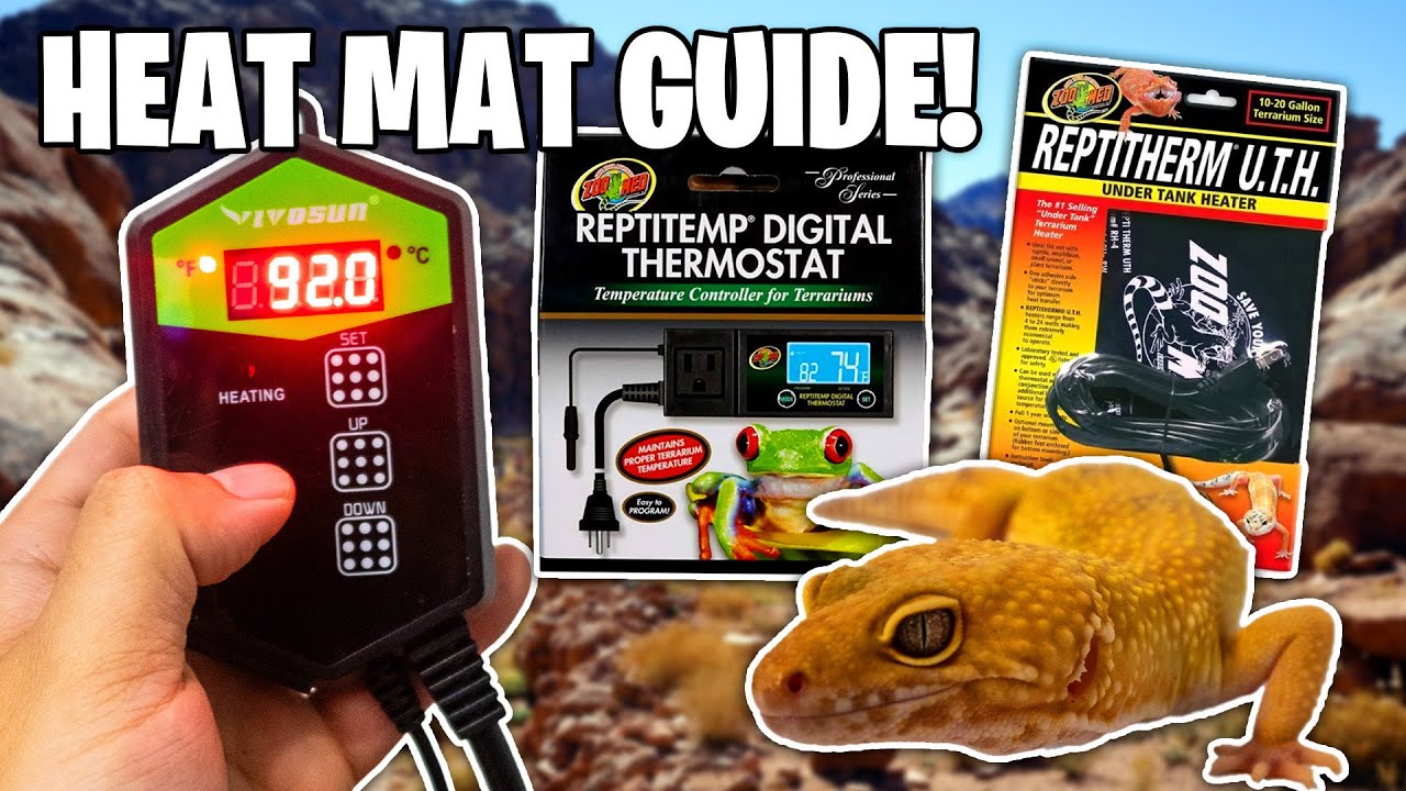 How to Use a Thermostat?