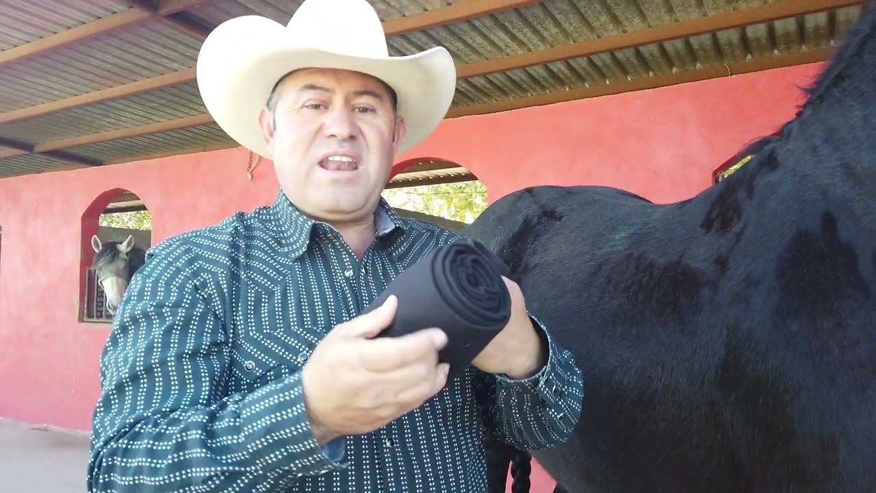 El Uso de Protectores y Vendas para tu Caballo