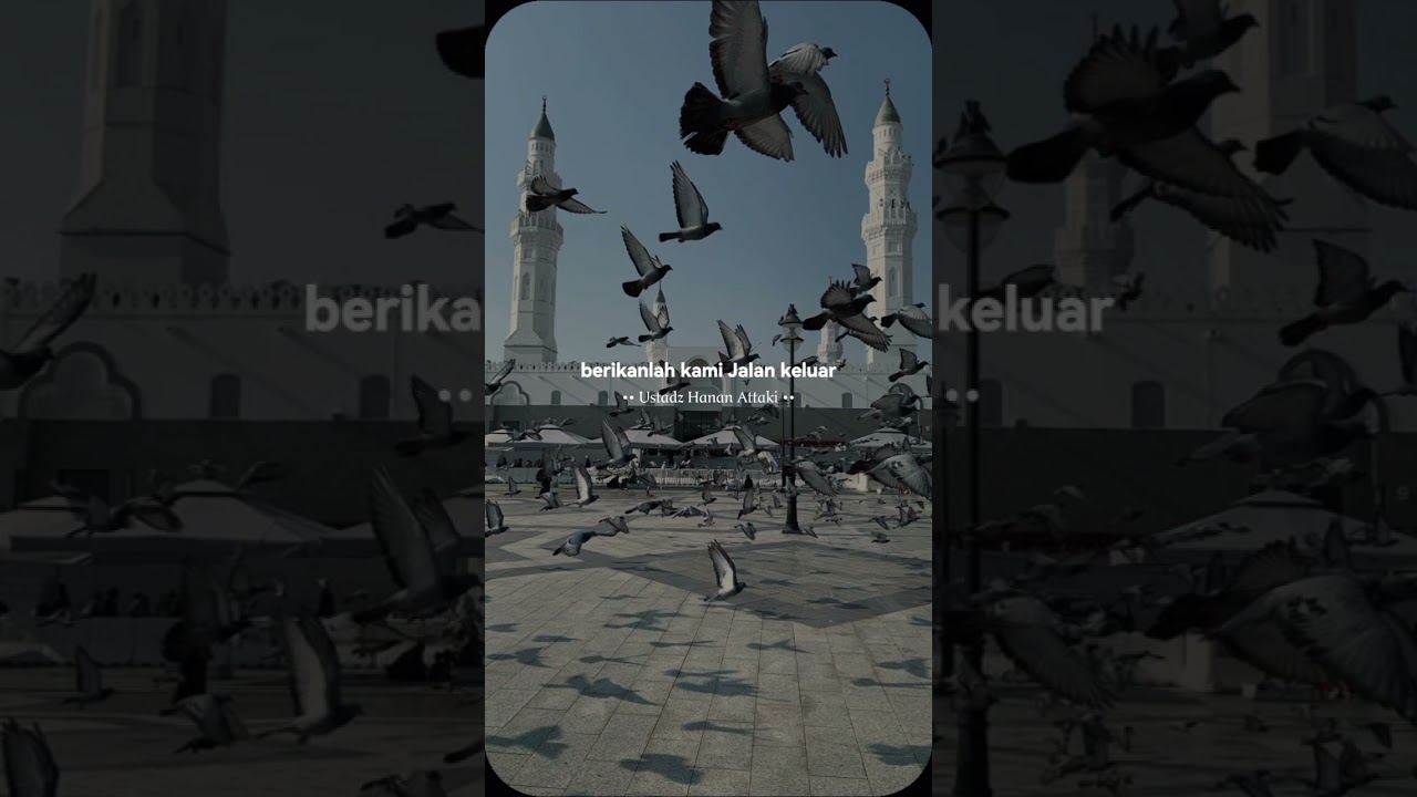 amiin ya rabbal Alamin #shortvideo