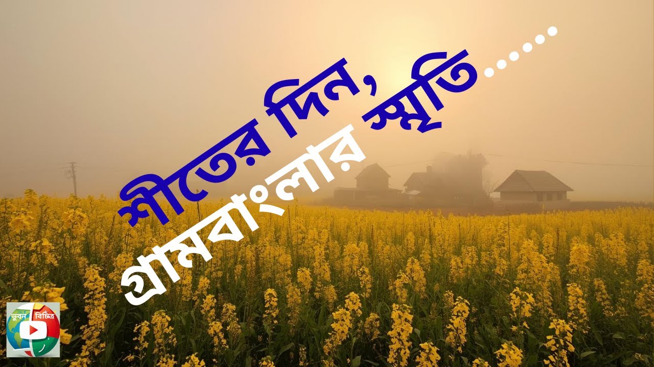 গ্রামবাংলার শীত: শিশির, রোদ আর নীরবতা