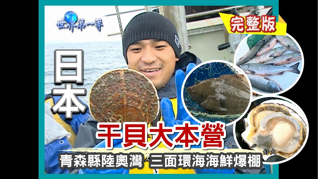 【日本青森】陸奧灣 巨霸干貝大本營（漁港競標鮭魚／縣魚 比目魚）｜《世界第一等》183集小馬完整版