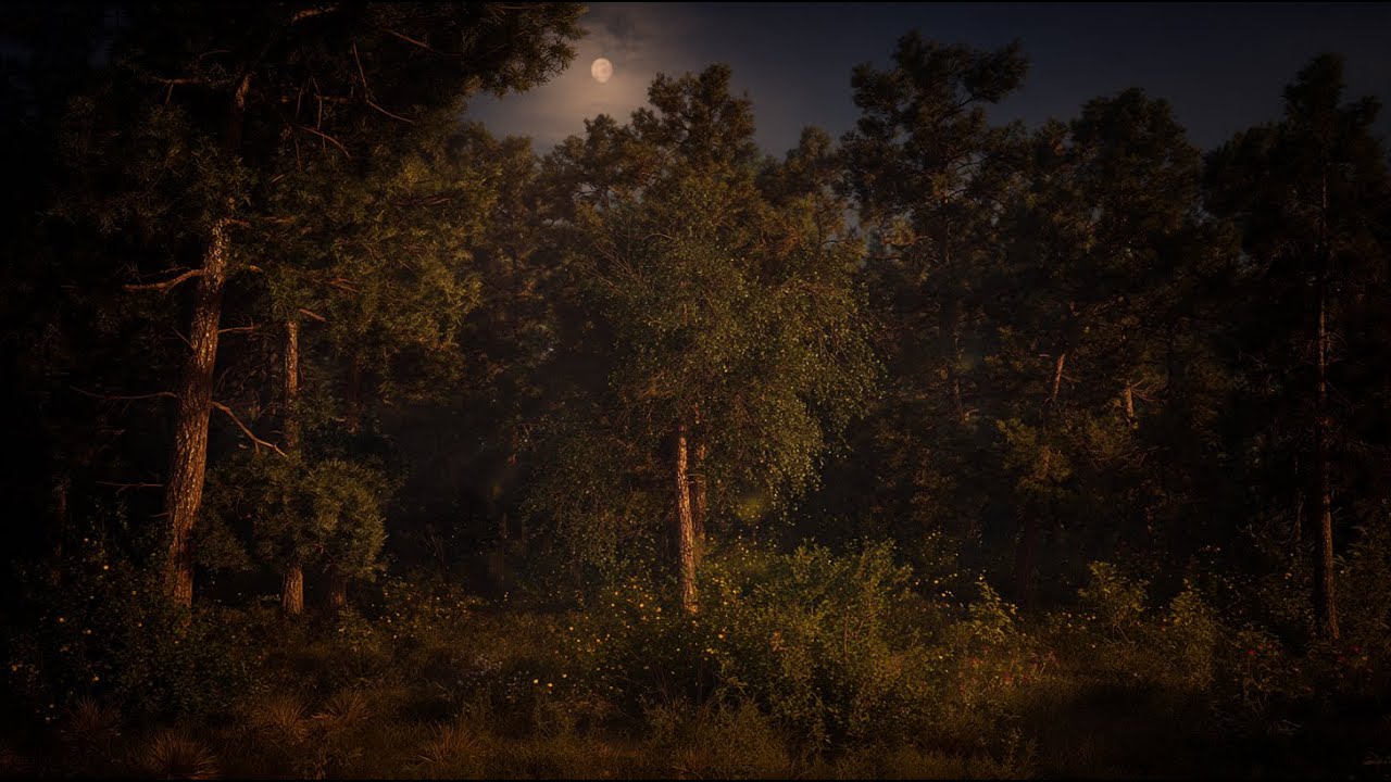 Night Forest Sounds for Sleep (2 Hours) | Crickets & Soft Wind
