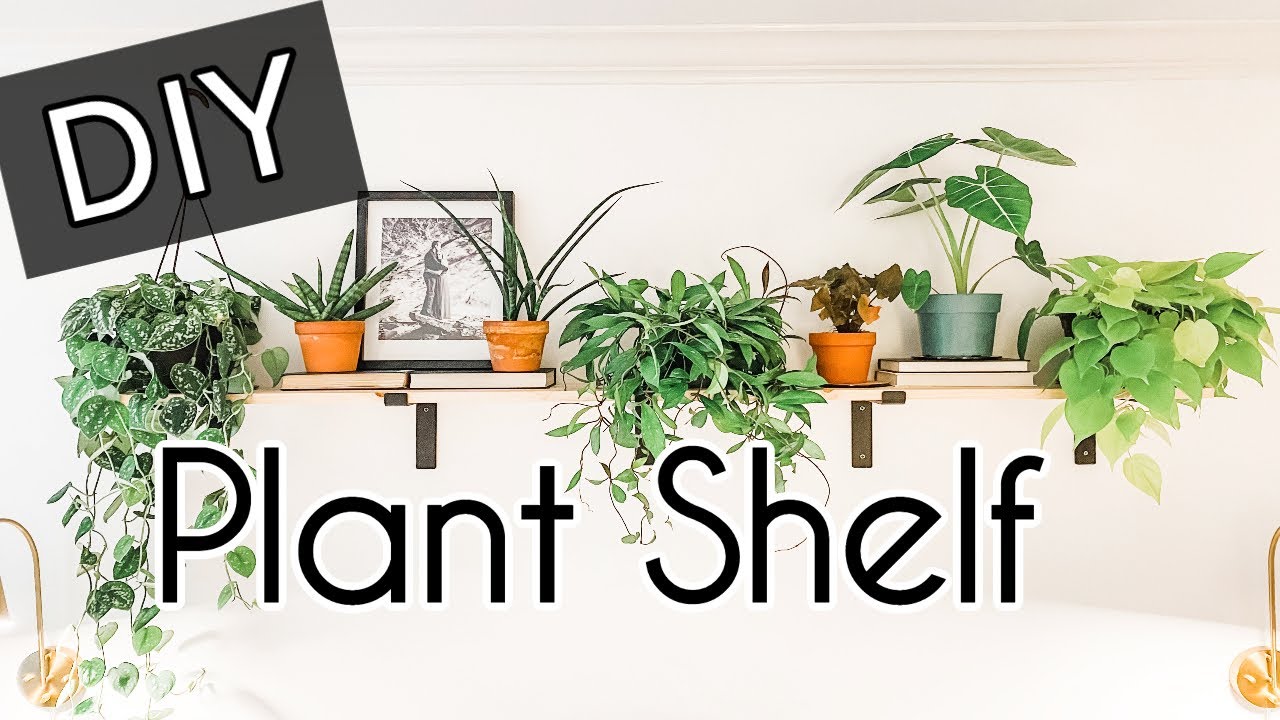 DIY Plant Shelf | Bedroom Plant Shelf | Decorating Above a Bed