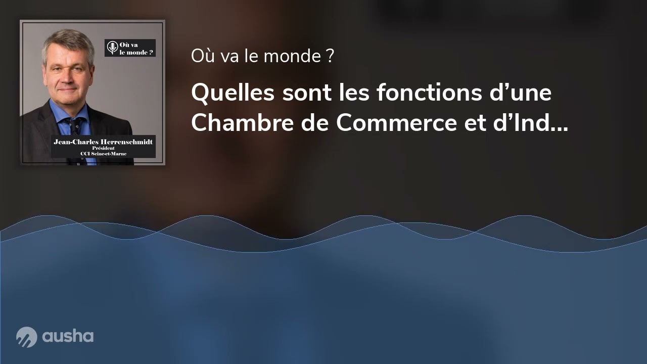 Quelles sont les fonctions d&rsquo;une Chambre de Commerce et d&rsquo;Industrie ? avec Jean Charles Herrensch...