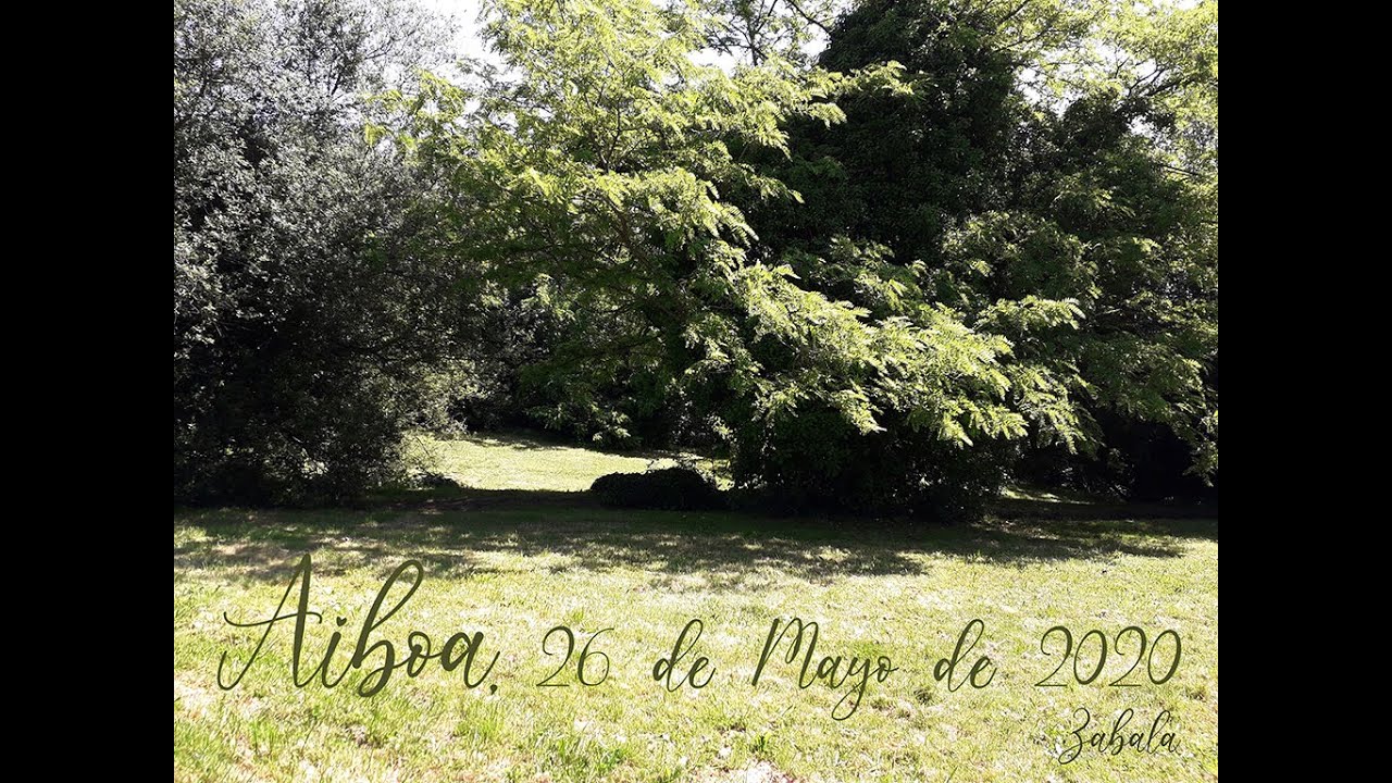 Paseo por Aiboa Getxo