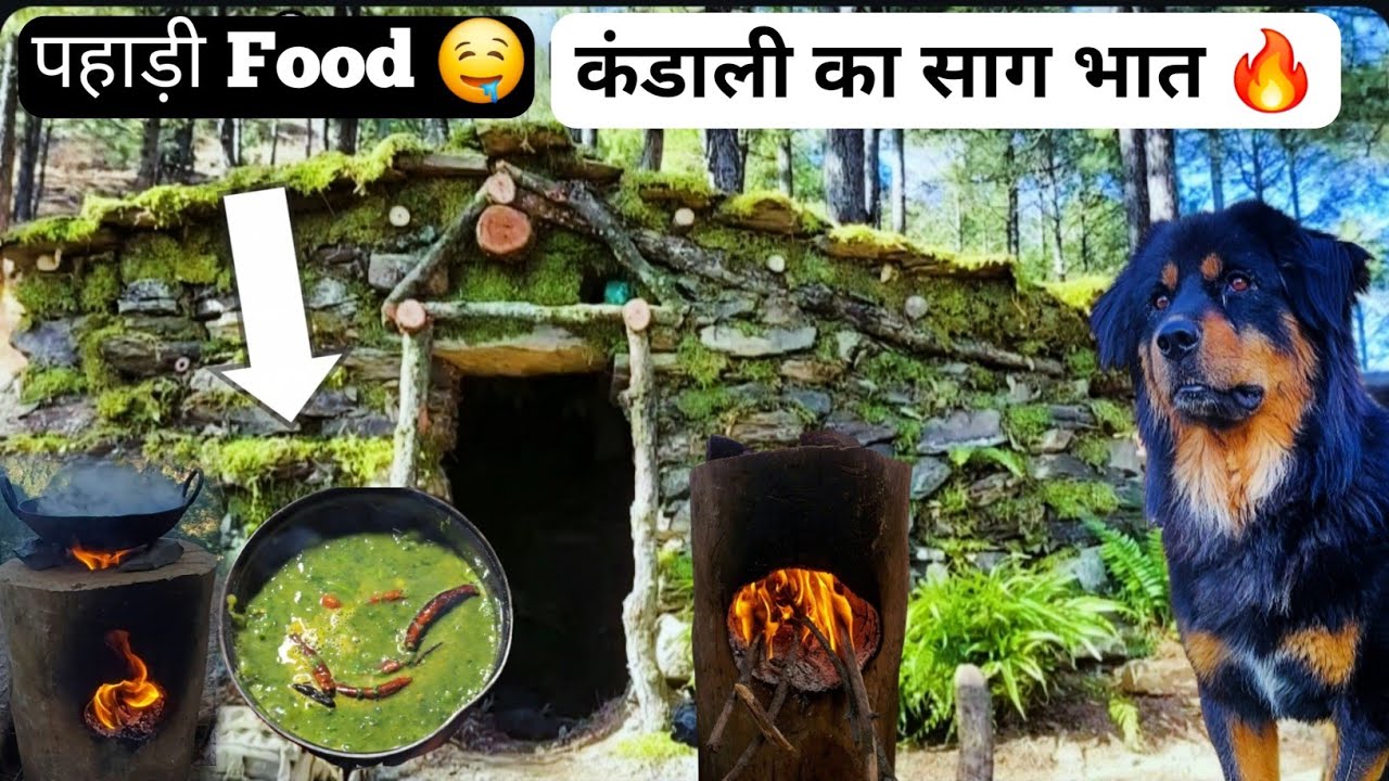 जंगल की झोपड़ी में कंडाली का साग 😋 | Real Pahadi Food Cooking 🌿 | Forest Camping Vlog | ASMR Cooking