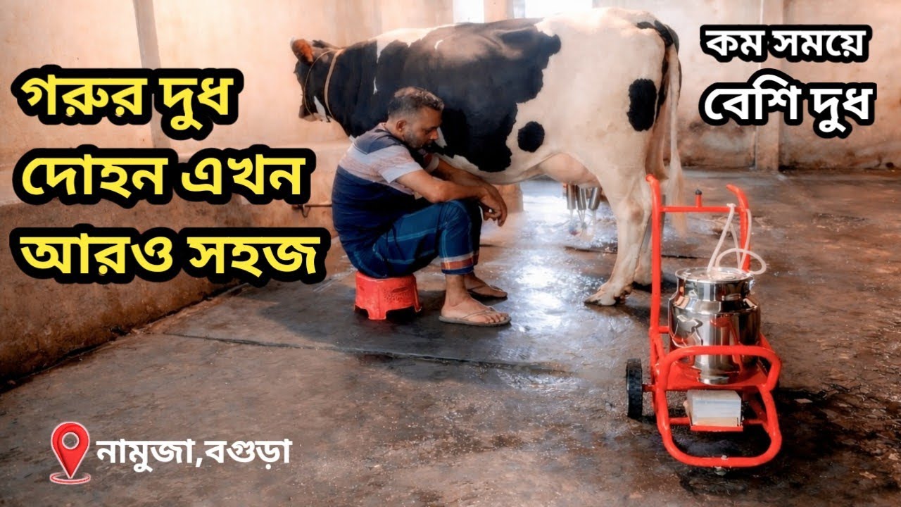 মাত্র ১০ মিনিটেই দুধ দোহন! | Cow Milking Machine Review | খামারিদের সহজ সমাধান