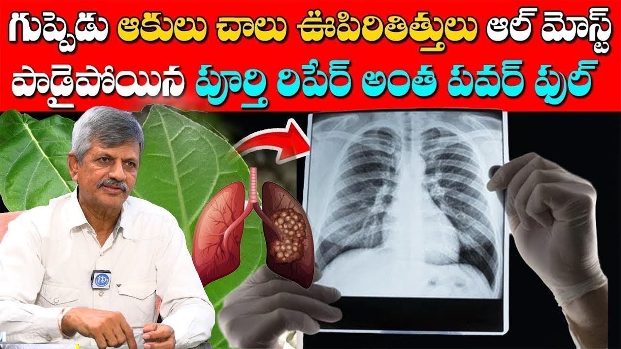 ఊపిరితిత్తులను ఆరోగ్యంగా ఉంచే పరమ ఉత్తమమైన ఔషధం ! | Best Tips to Clean your Lungs | Dr AnjaneyaRaju