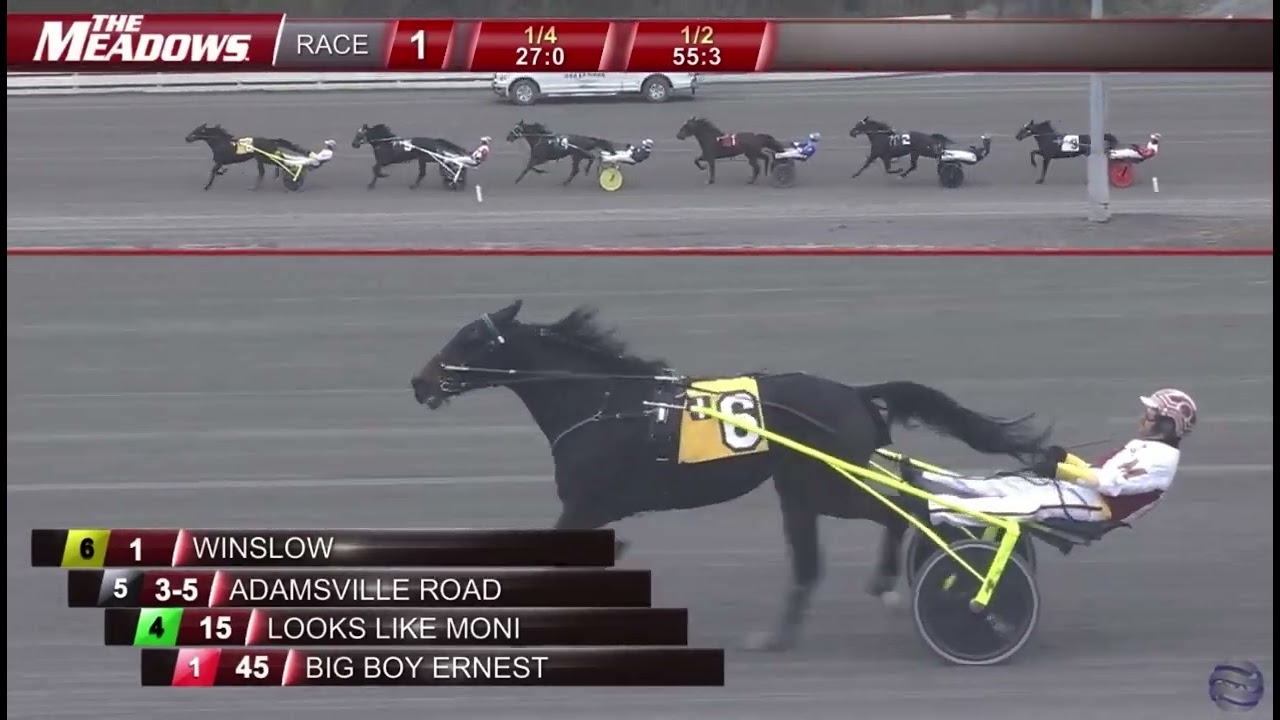 Dead Heat for win in the Open Trot at the Meadows (Winslow) | 11/20/25