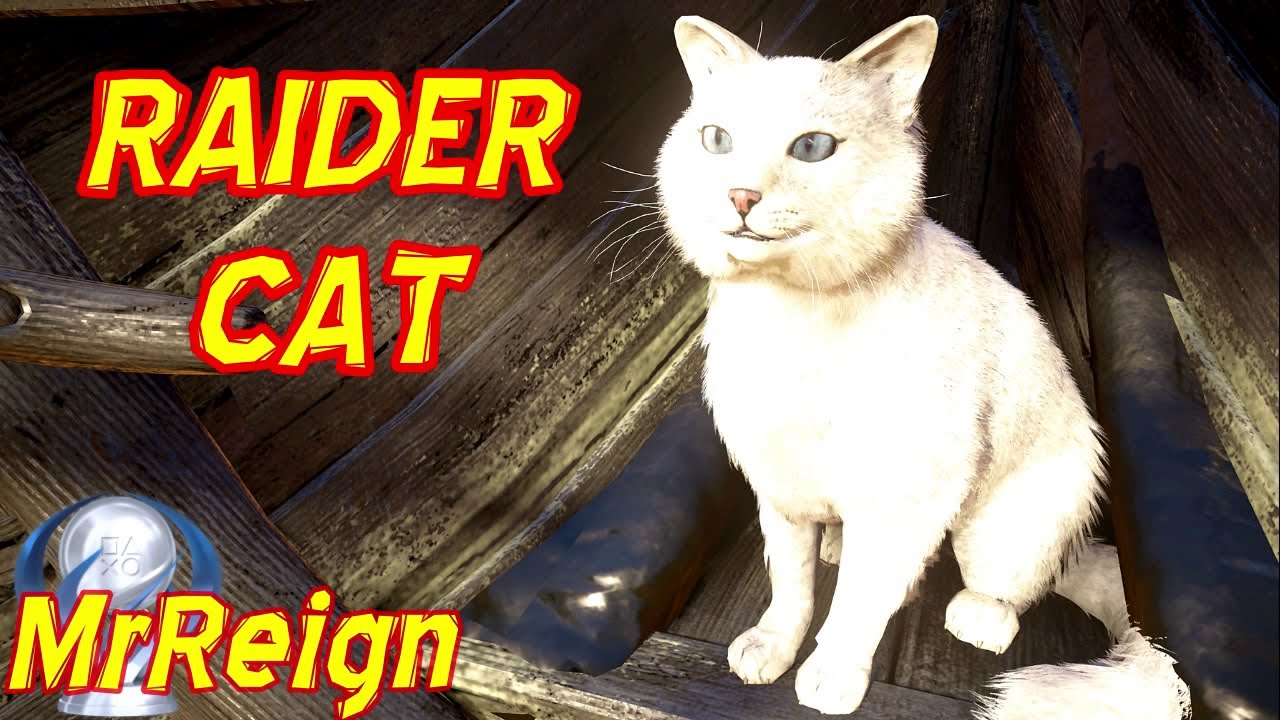 Assassin's Creed Valhalla - How to Get a RAIDER CAT  on Your Longship - Freyja's Friend World Event