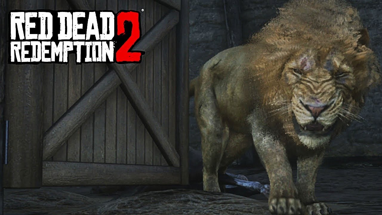 TROUVER ET TUER LE LION RED DEAD REDEMPTION 2