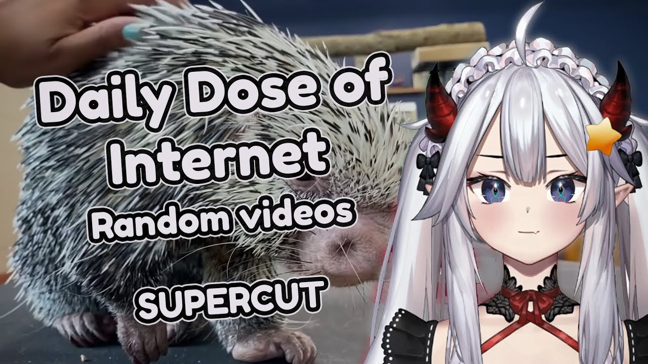 Vei watches Daily Dose Of Internet and reacts to random videos (with Chat) (supercut) | Veibae