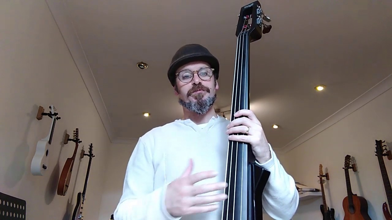 Upright Electric Bass - Tone and Pizzicato types.