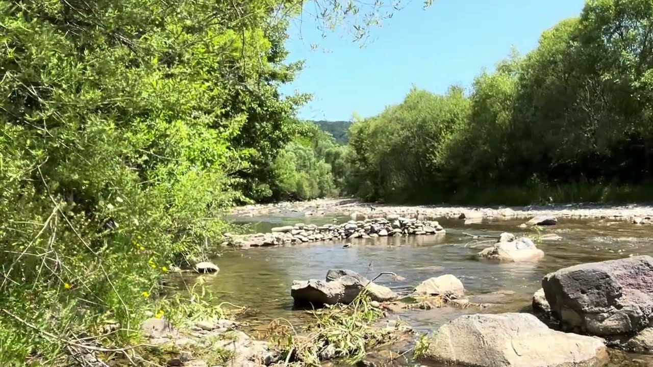 Природа. The peaceful beauty and sounds of nature of God the Creator, video story 105