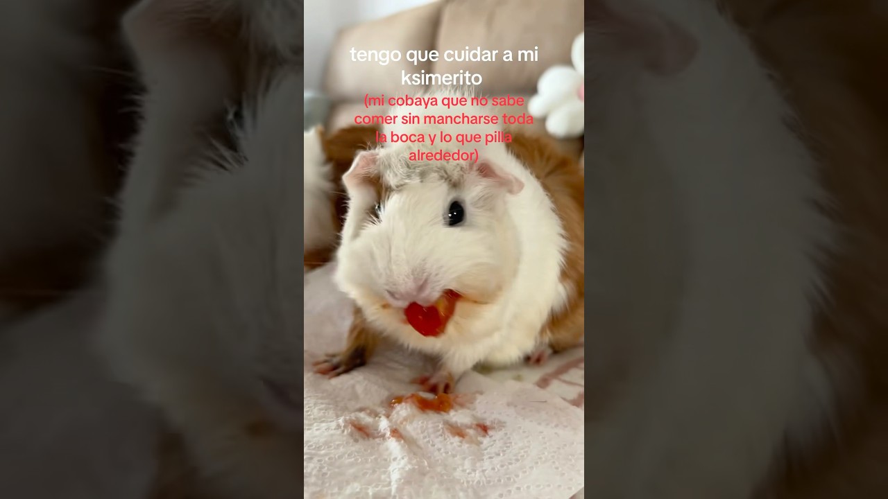 me mancha todo :( 