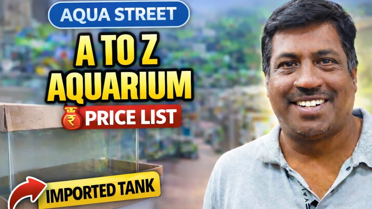Aqua Street Chennai - Kolathur 🐠 | Аксессуары для аквариумов, аквариумы, корма, лекарства | Видео...