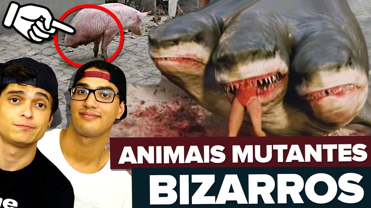 OS ANIMAIS MUTANTES MAIS BIZARROS DO MUNDO