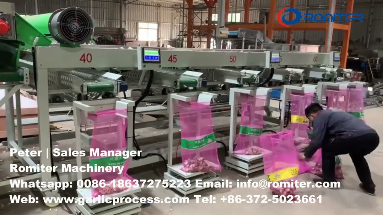 Automatic Garlic Size Sorting Grading Machine with Weighing Function