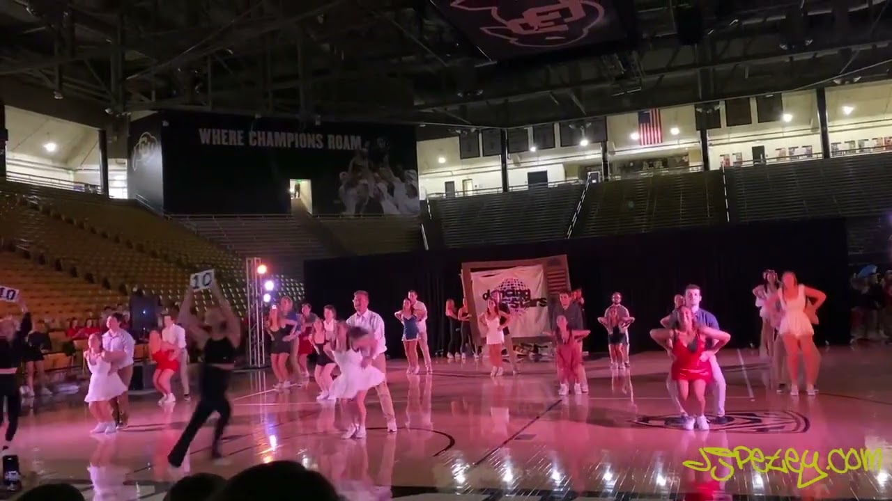 dg songfest 2022