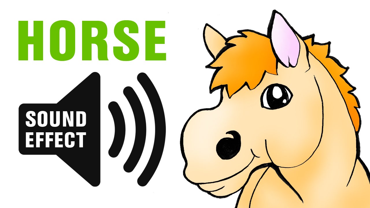 Horse sound - Neigh