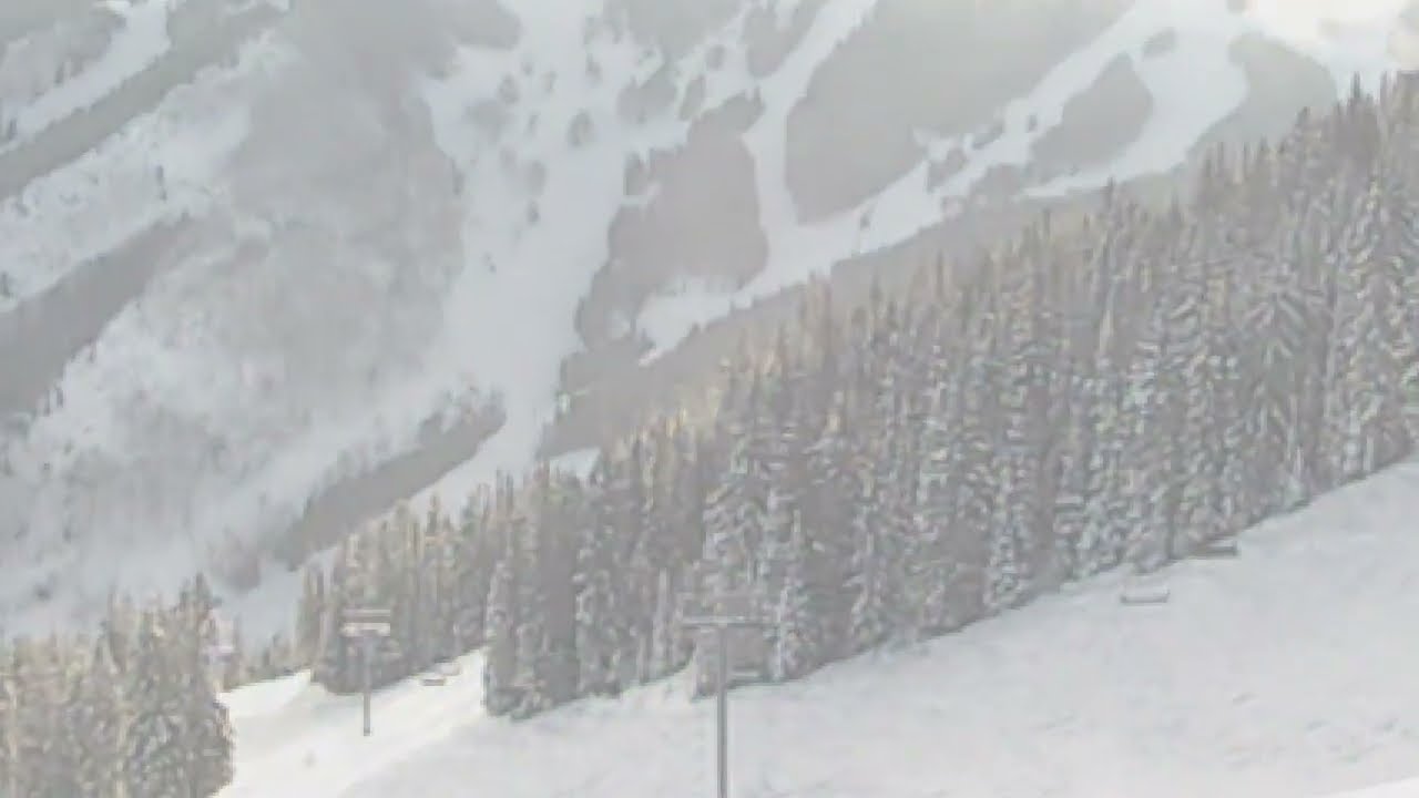 2025 Beaver Creek: Powder, Trees, and Bumps