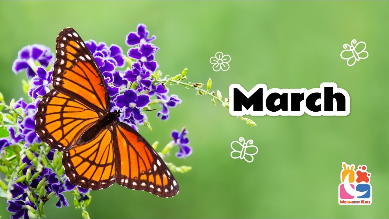 March Madness: Fun Facts for Kids!