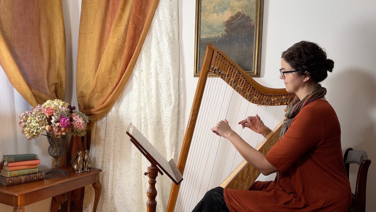 Down by the Sally Gardens (Maids of Mourne Shore) - Celtic harp