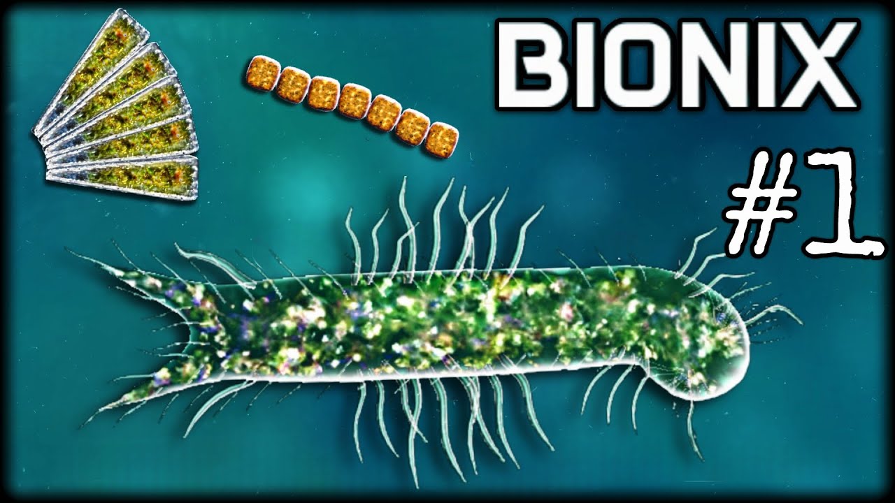 Вступая в мир микробов!! | Bionix | Gastrotrich | Часть 1