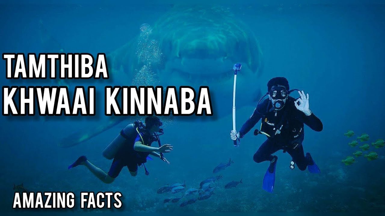 ⚠️Tamthiba , Khwaai Khudongthingai Oi Haiba?⚠️  | Random Facts in Manipuri