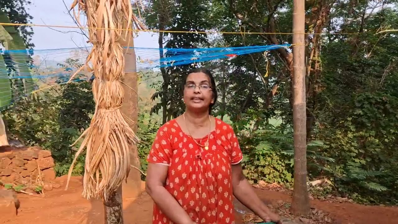 കുറച്ച് തിരക്കിലാണ്#youtubevideo #viralvideos 
