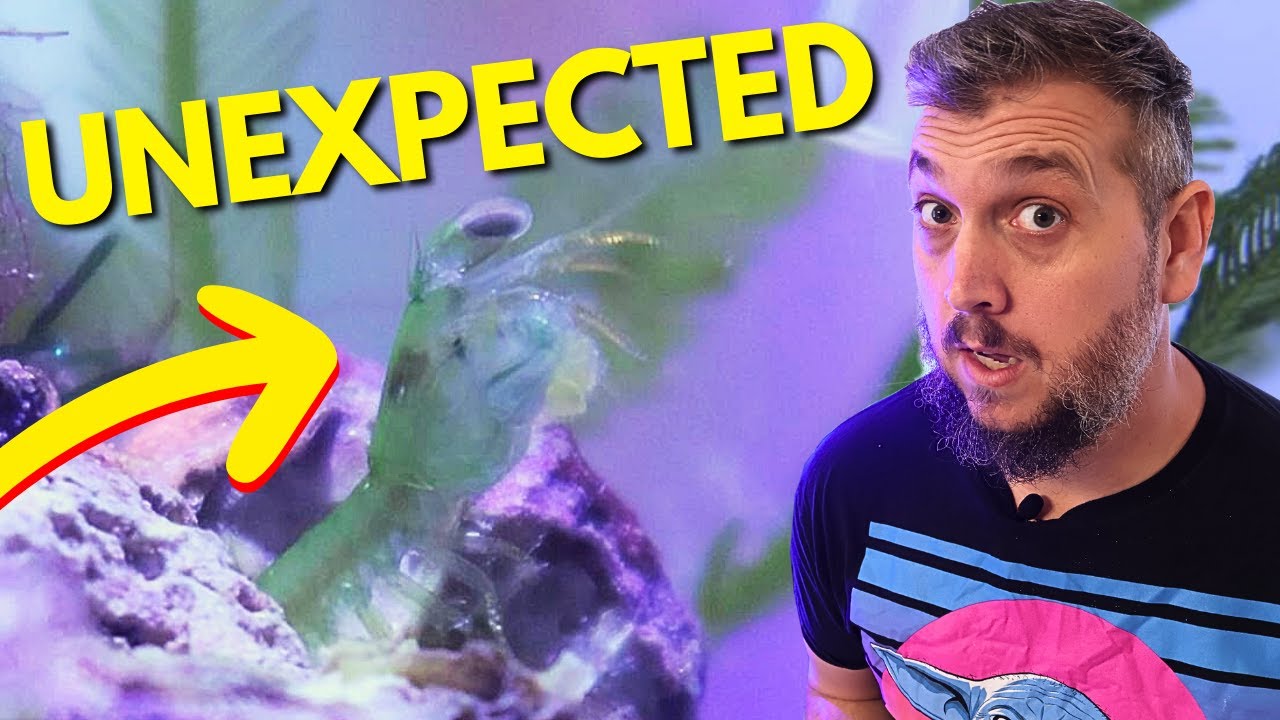 I Can't Believe What's Inside Our NEW 10 Gallon Nano Reef Tank!