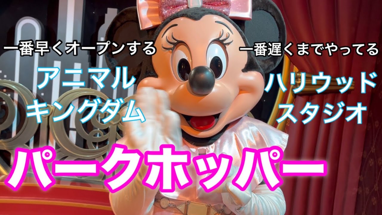 【WDW】1日で2パーク巡り！初めてのパークホッパーで満喫！料金・移動情報あり✨ #WDW #ディズニーワールド #パークホッパー #アニマルキングダム #ハリウッドスタジオ #ディズニー旅行 