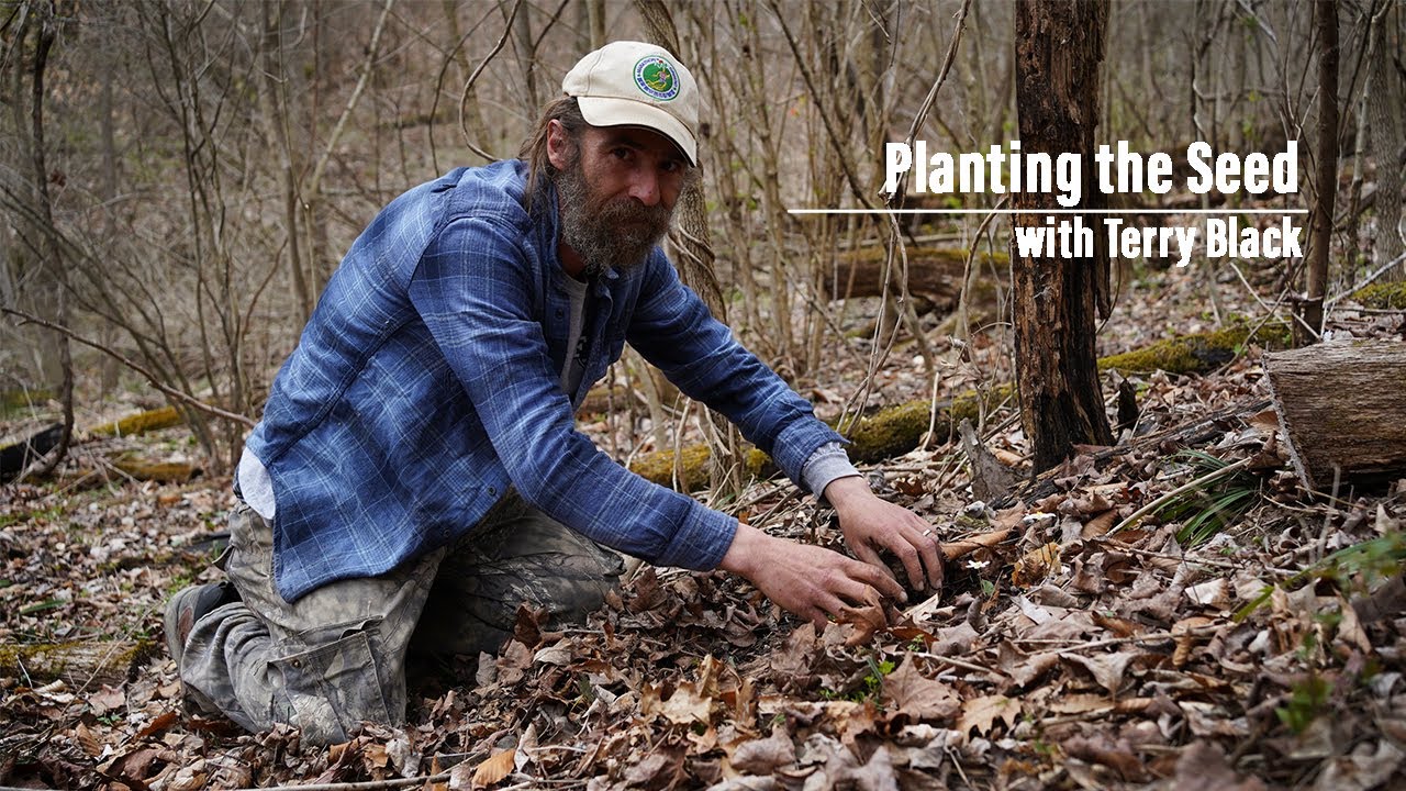 Planting the Seed with Terry Black