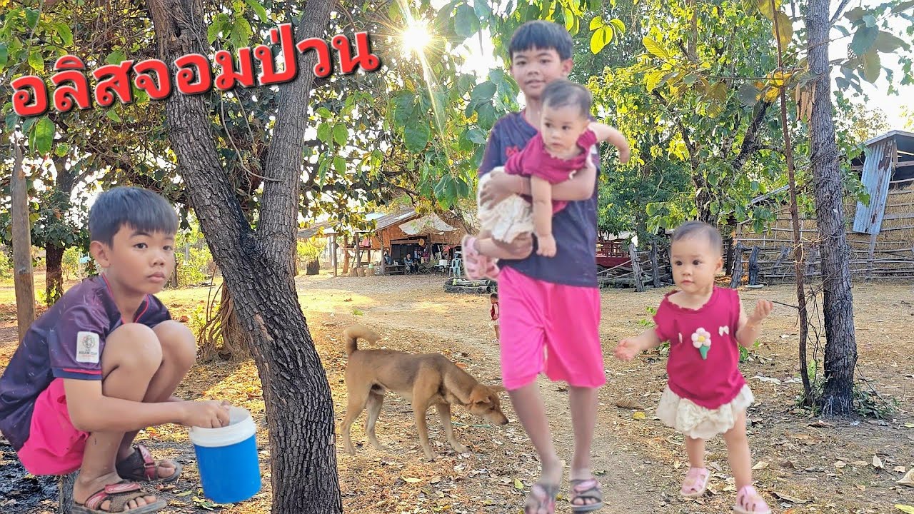 นานๆที...นางจะมาหาบ่าวหมี." อยู่กับน้องอลิสจอมป่วน.😀😀😀18/1/2026
