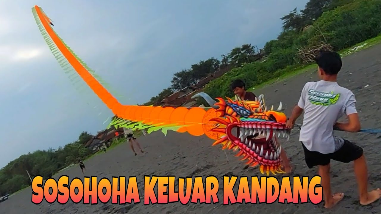 SOSOHOHA TEAM KELUAR KANDANG TERBANGKAN KOLEKSI LAYANGAN NAGA DI PANTAI SAMAS