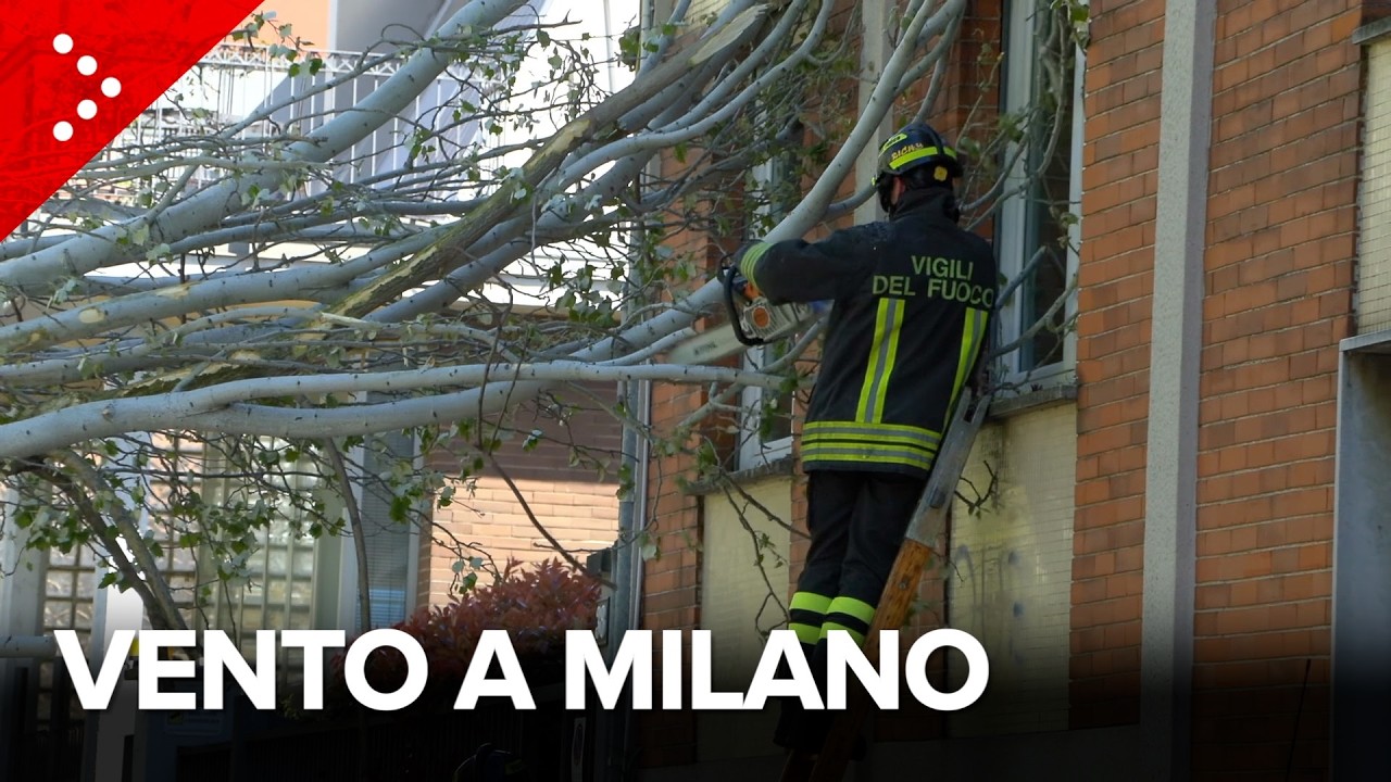 Forte vento a Milano, albero cade contro un edificio. Vigili del fuoco al lavoro