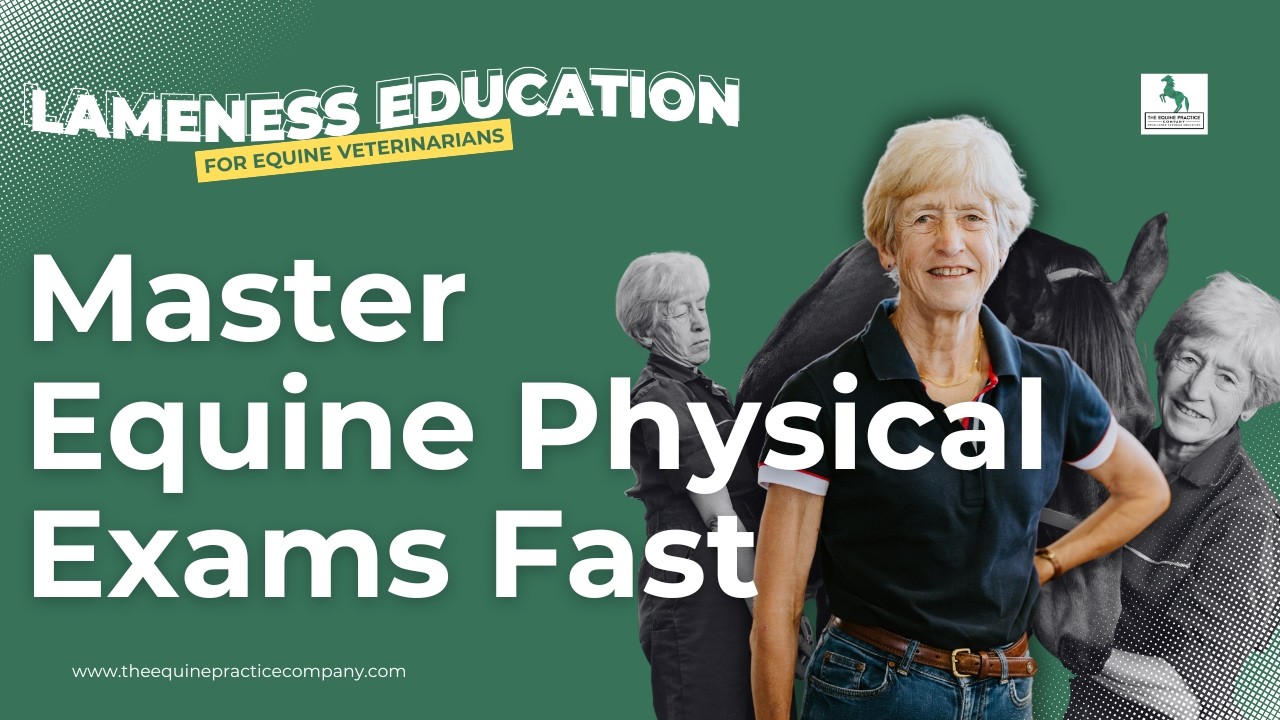 Master Equine Physical Exams Fast