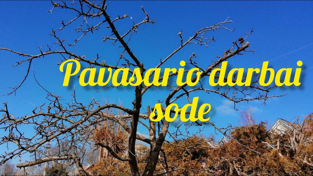 Pavasario darbai sode