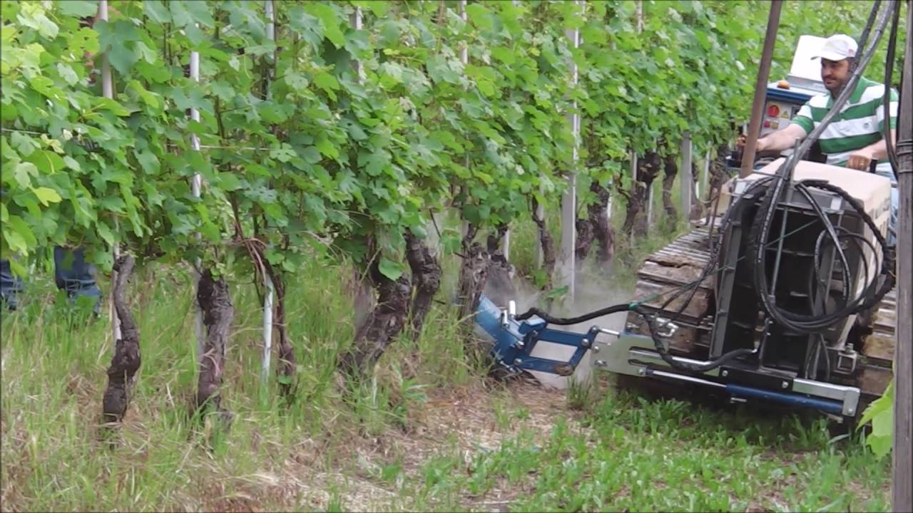 Video Diserbo a Vapore da Enzo Rapalino con scalino pronunciato