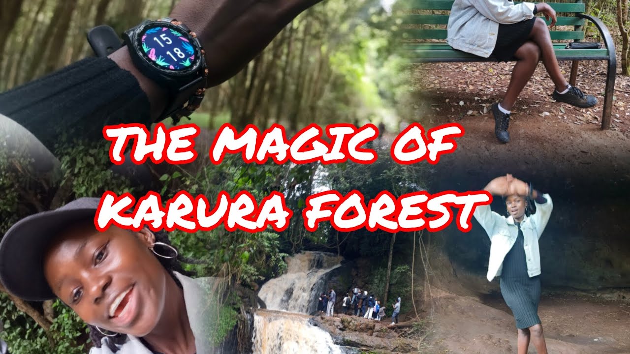 A Breath of Fresh Air | Karura Forest Vibes| Nature Therapy🌿