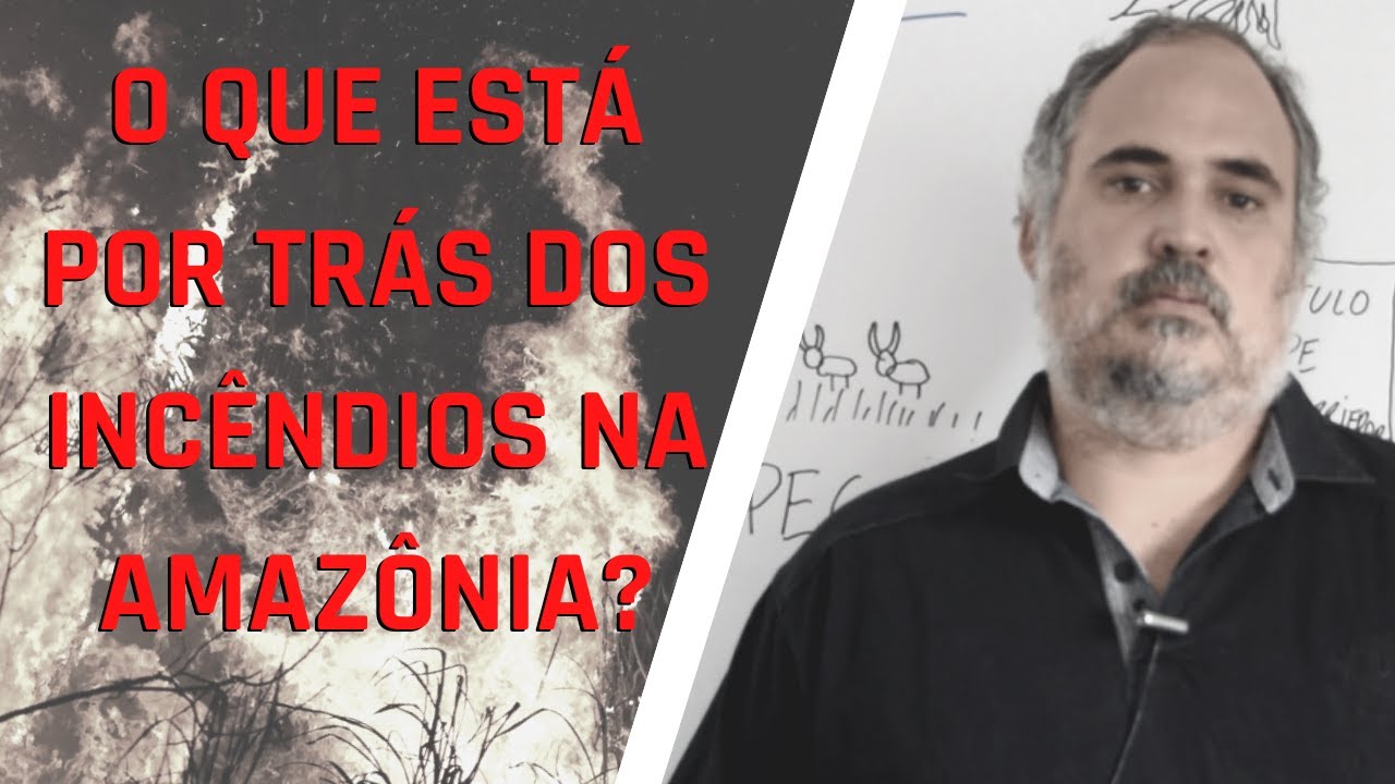 O que está por trás dos Incêndios na Amazônia?