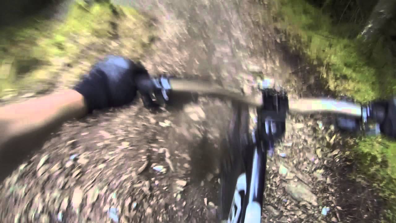 Whinlatter North loop Techy wood section