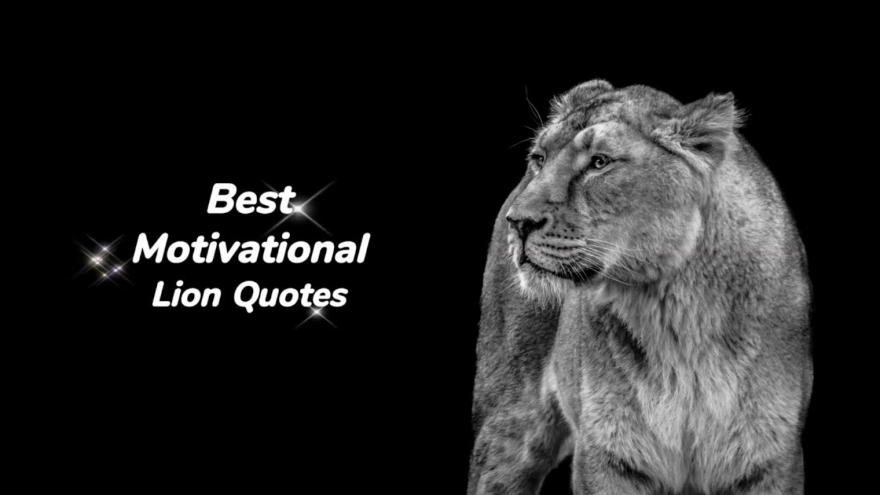Roaring Inspiration: Powerful Lion Quotes to Ignite Your Inner Strength | Motivational Video