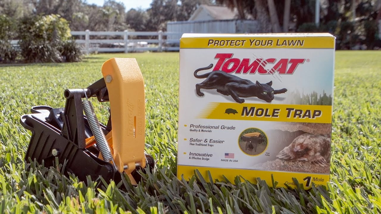 How to Catch and Kill Moles In Your Yard Using the Tomcat® Mole Trap